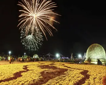 마산 가고파 국화축제_11