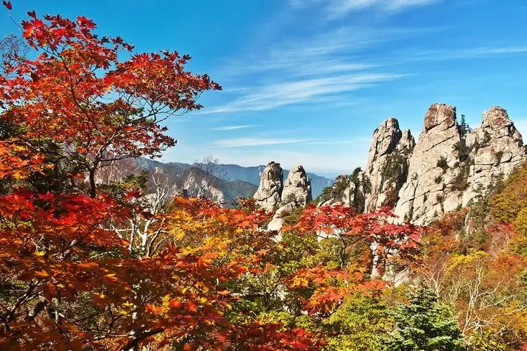 설악산 등산코스(설악산 케이블카)