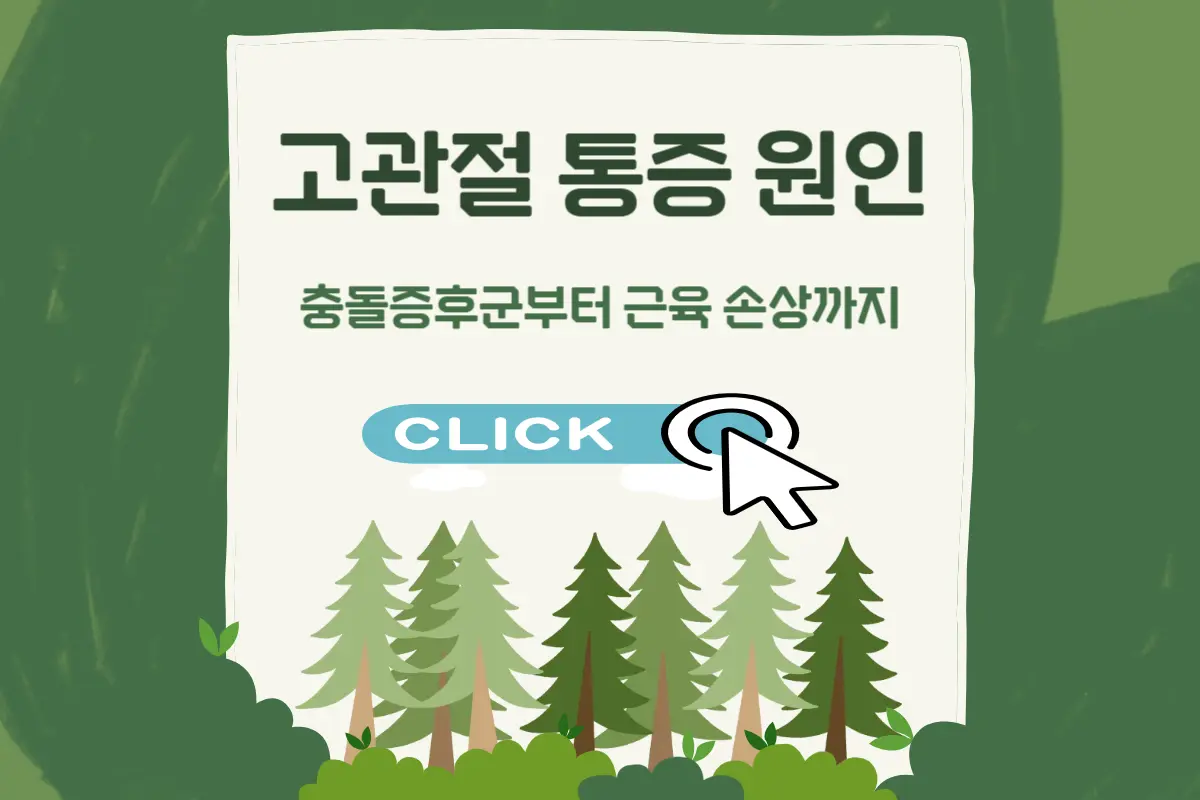 고관절 통증 원인, 허리 통증과 어떻게 다를까?