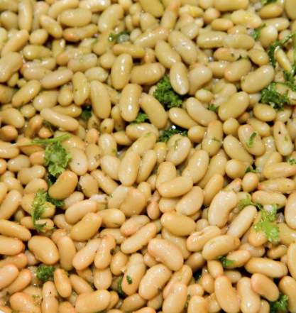 루피니빈 콩 사진