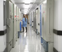 폐경기 호르몬 수치 해석 의미