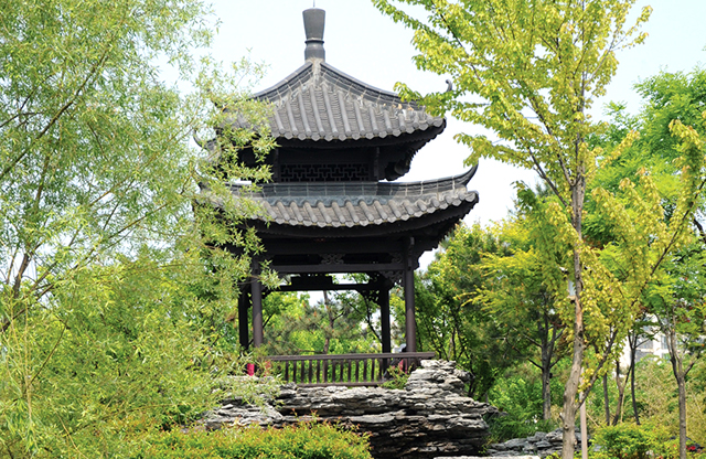 수원-월화원