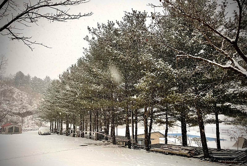 천안 아우내관광농원캠핑장 소개