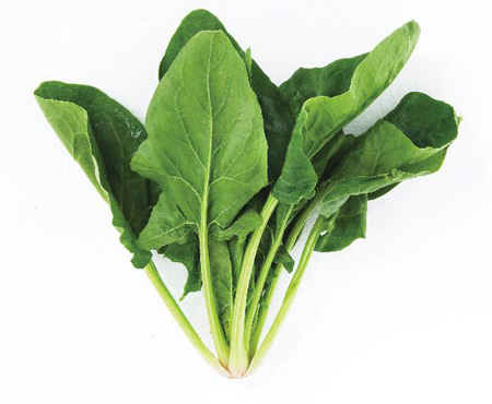 마그네슘이 풍부한 음식-시금치