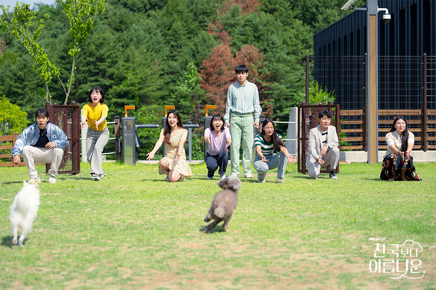 춘천 강아지숲 테마파크