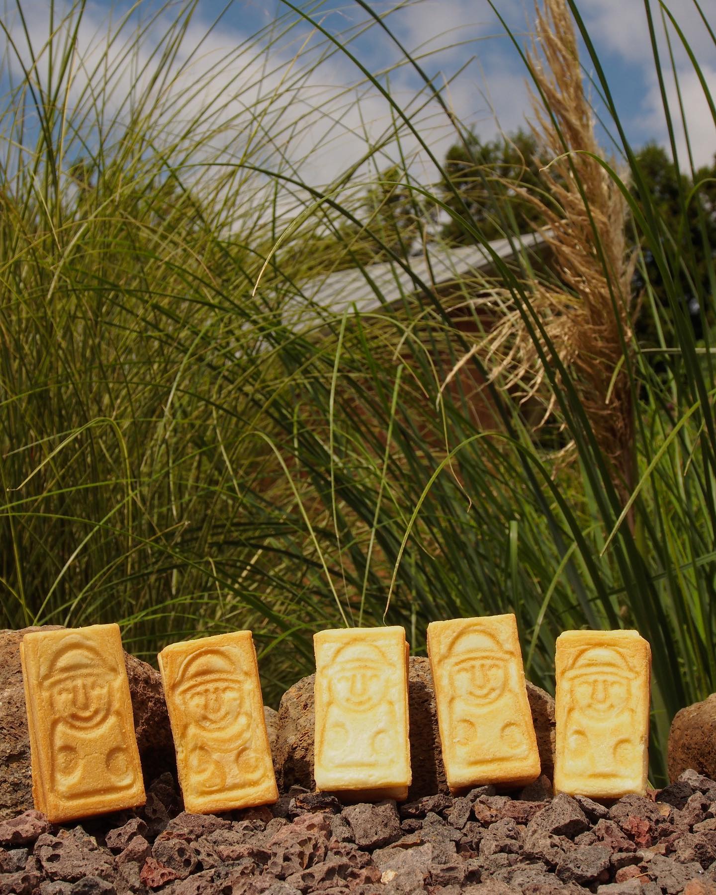 제주 정실마을 하르방느 돌하르방 샌드 이색기념품 오늘&#44; 제주 카