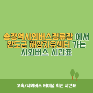 송정역시외버스정류장에서 완도군 해양치유센터&nbsp;가는 시외버스 시간표 최신정보