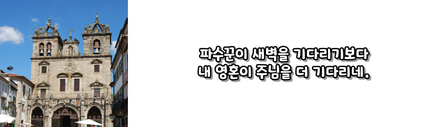 천주교 위령 성월 기도문_성월 기도