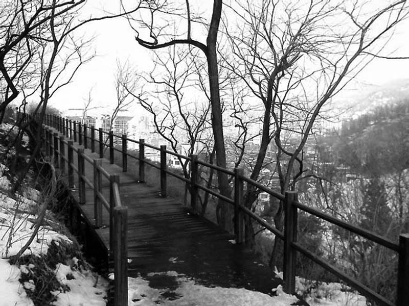 눈내린 안산자락길