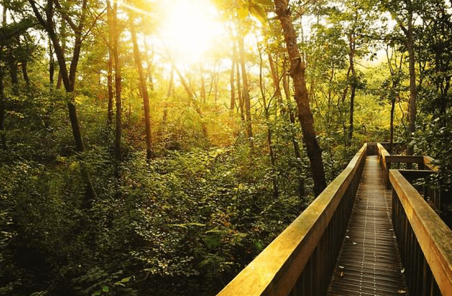 운곡람사르습지