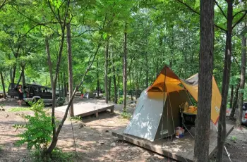 유명산 자연휴양림_4