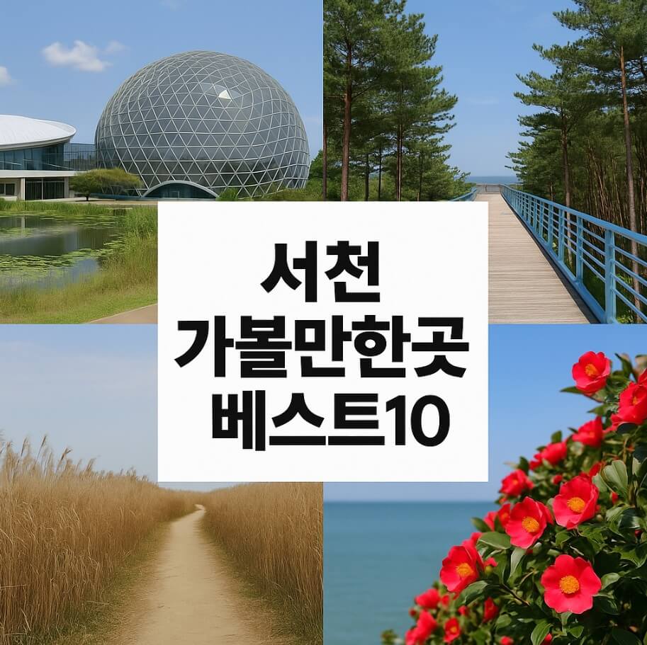 서천 가볼만한곳 베스트10