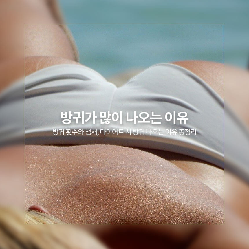 방귀가 많이 나오는 이유