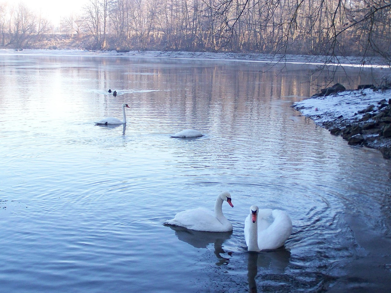 일반분양과 적금주택 차이점 (지분적립형, 실입주비용, 권리이전)