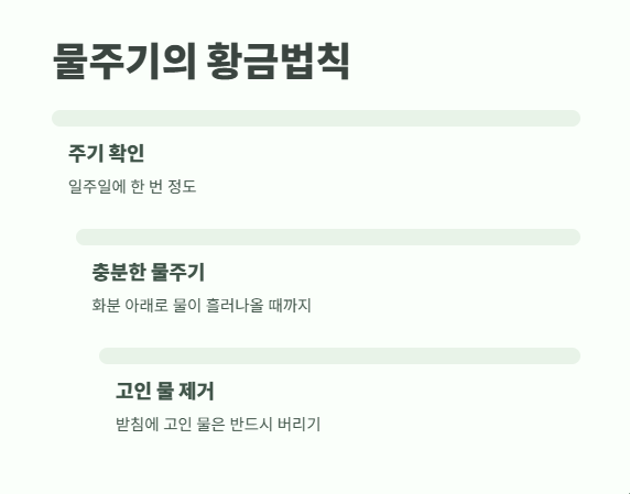 호접란 키우는법 쉽게 정리 7