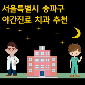 서울 송파구 치과 야간진료 병원 추천
