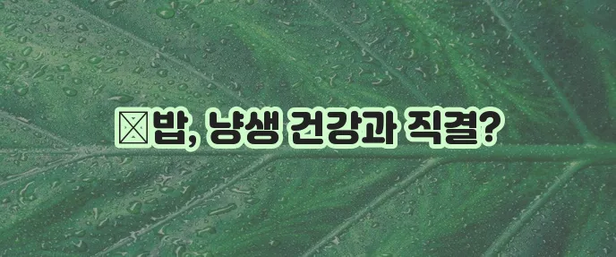 고양이 사료 유통기한 확인은 건강의 필수 길잡이입니다!