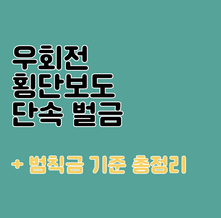 우회전 횡단보도 단속