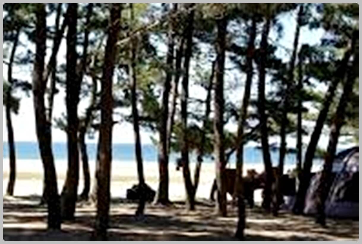 차박 캠핑 장소 추천 5곳