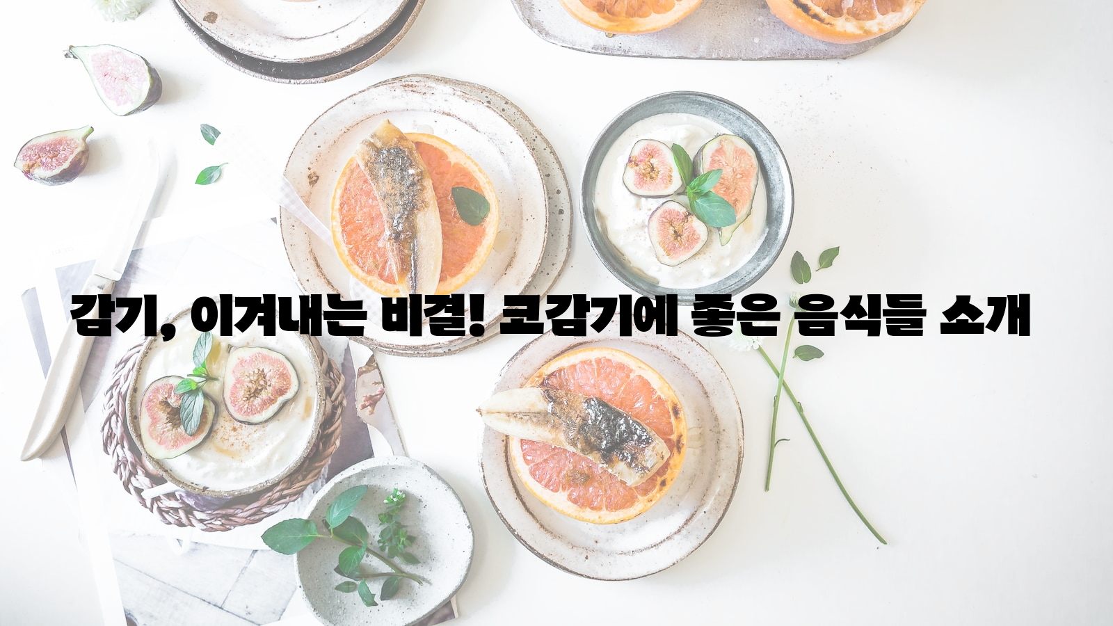 감기, 이겨내는 비결, 코감기에 좋은 음식들