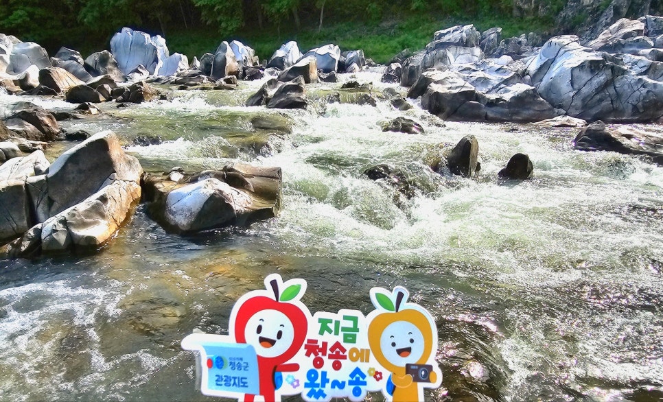 청송 백석탄계곡