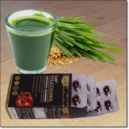 폴리코사놀 효능 및 보충제, 섭취량과 복용법