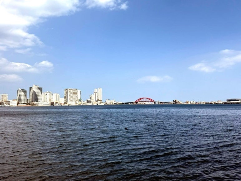 청초호
