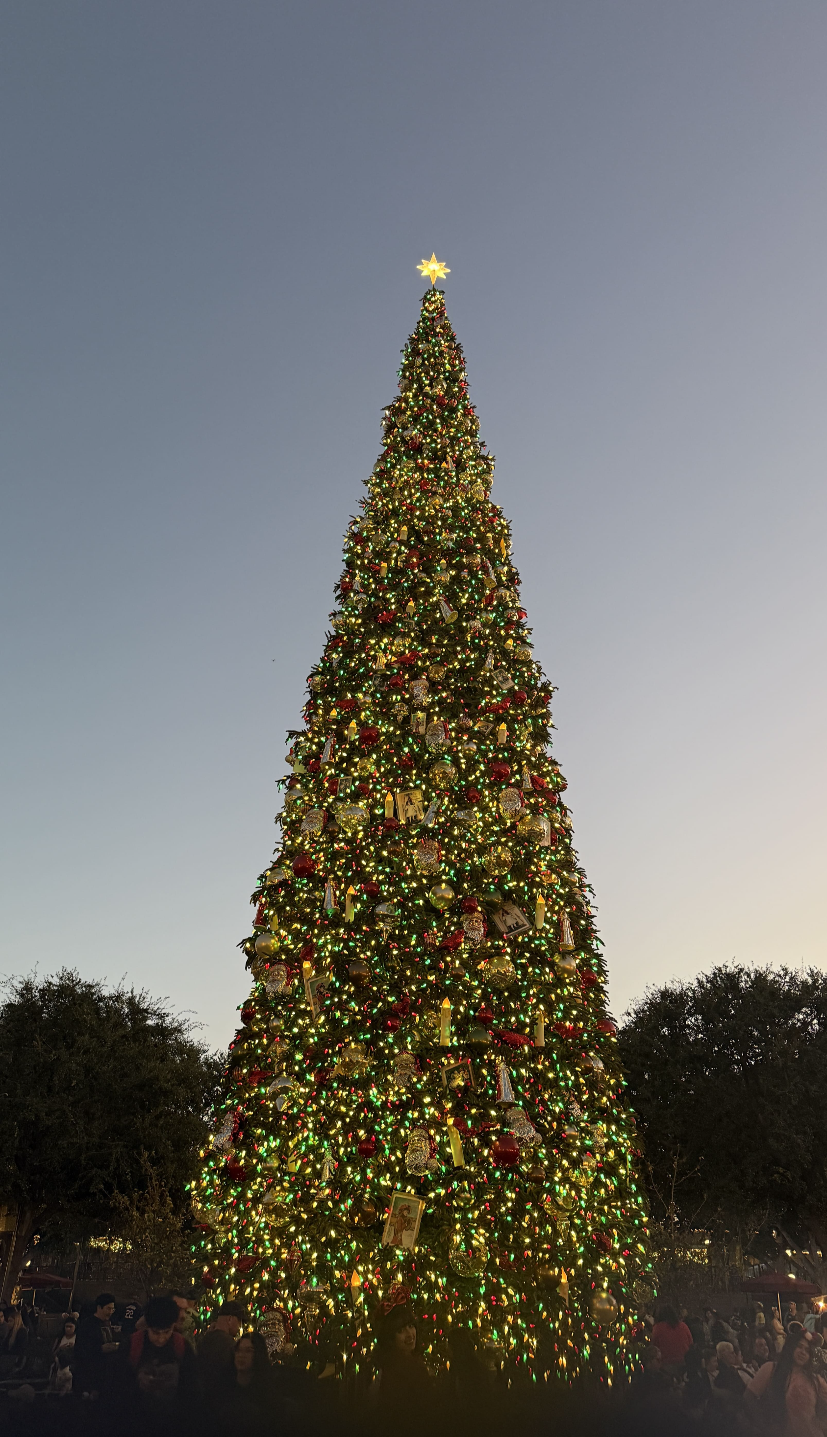 LA 디즈니랜드 캘리포니아 크리스마스