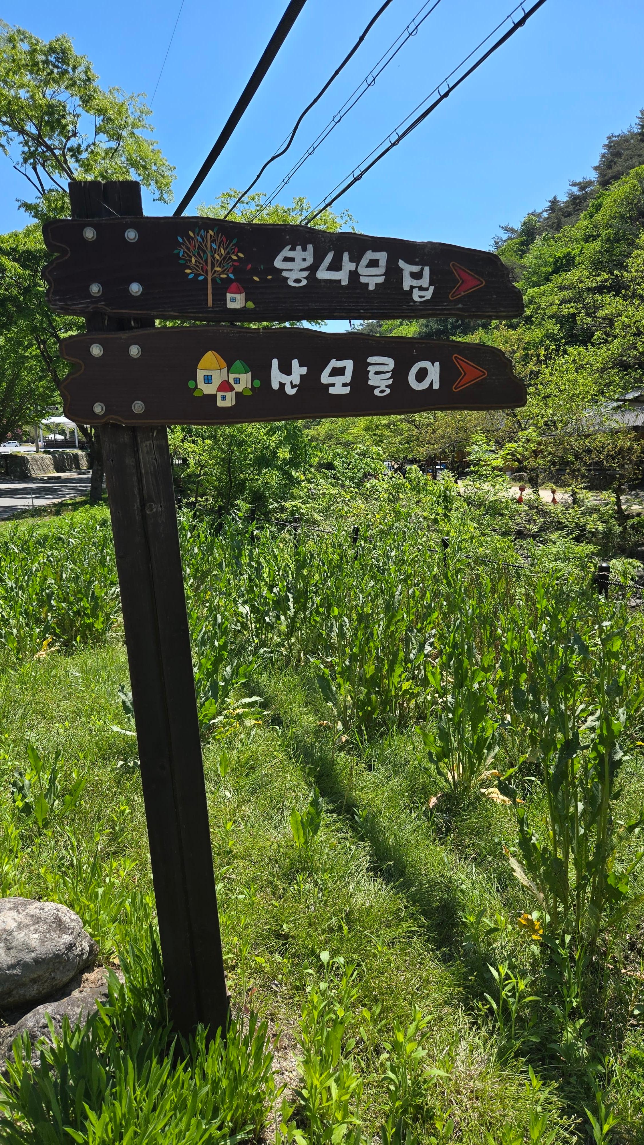 산행 후 뒤풀이는 치악산 초입의 뽕나무집에서 이어졌습니다.