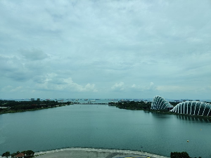 싱가포르 여행 추천 싱가포르 플라이어