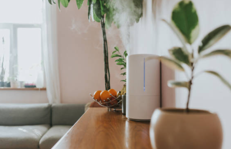 면역력 높이는 방법