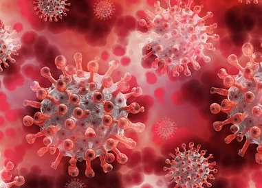 코로나_바이러스