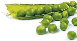 마그네슘 부족현상