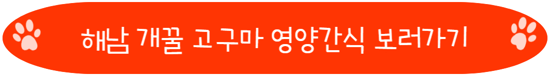 해남 개꿀 고구마 영양간식