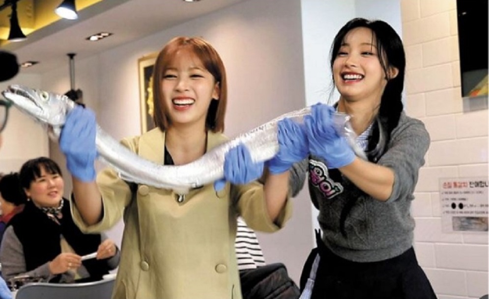 백반기행-거제-생갈치-갈치도