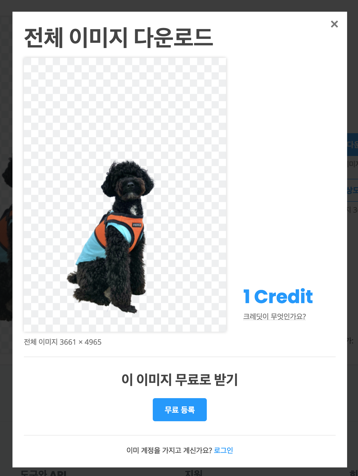 remove.bg 고화질 다운로드