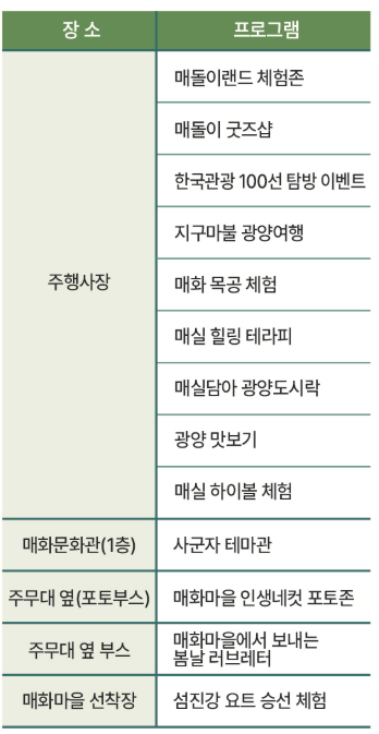 전남 광양 매화축제