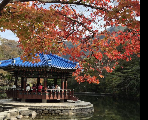 2025 전국 국립공원 TOP5 단풍 절정 시기 총정리 ❘ 가을 산행 준비 꿀팁