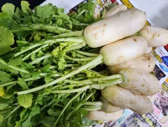 알타리김치 맛있게 담는법에 대한 김치비법_10