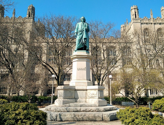 칼 린네와 곤충 분류 체계의 탄생 – 작은 생물을 통해 본 학문의 혁명