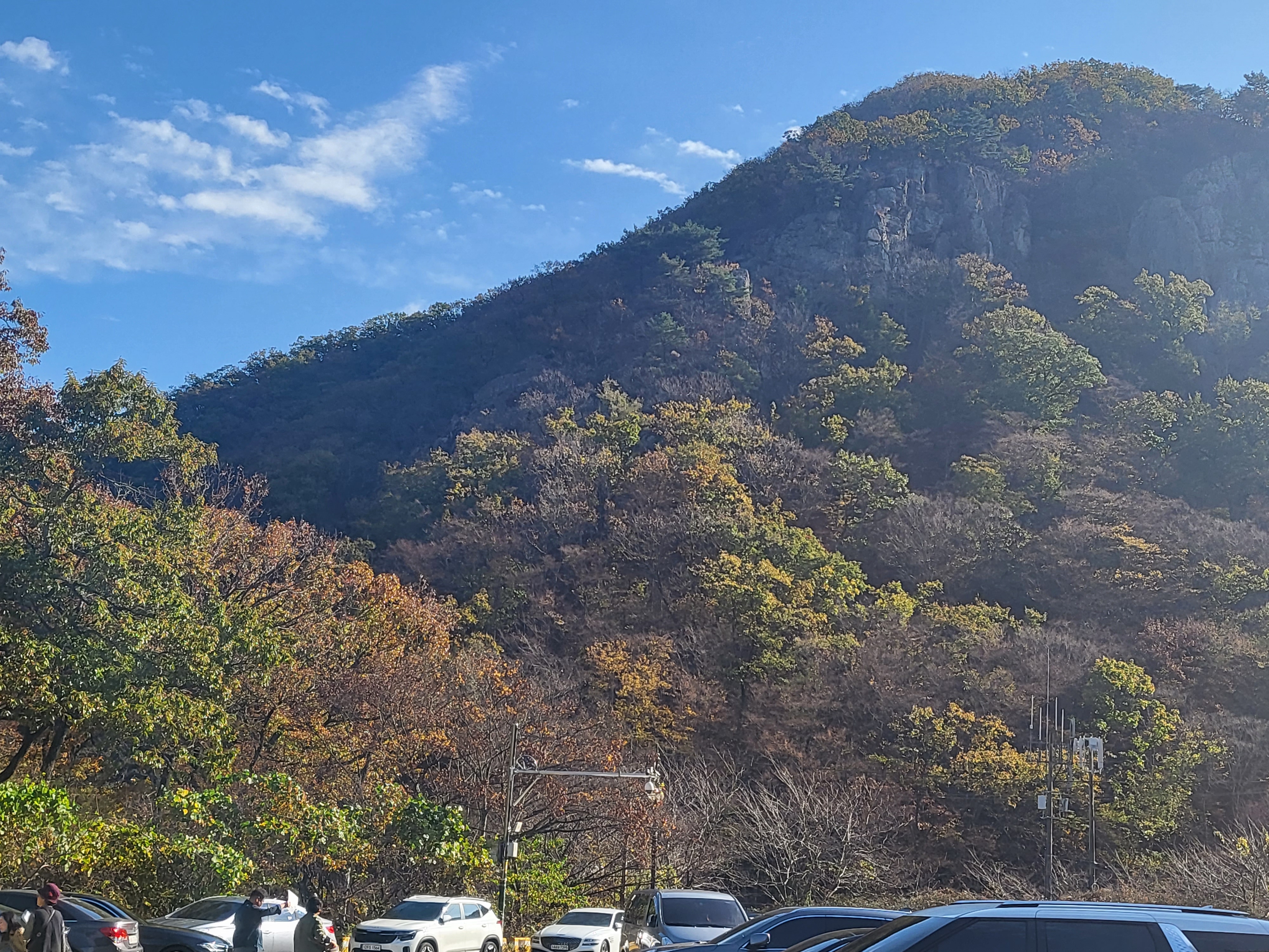국화 향기 가득한 부산 기장 장안사 제 7회 기장 국화분재전시회가 열렸습니다.