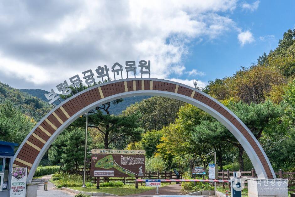 보령 가볼만한곳 베스트 10