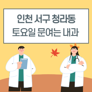 인천 서구 청라동 토요일 내과 진료 병원 리스트