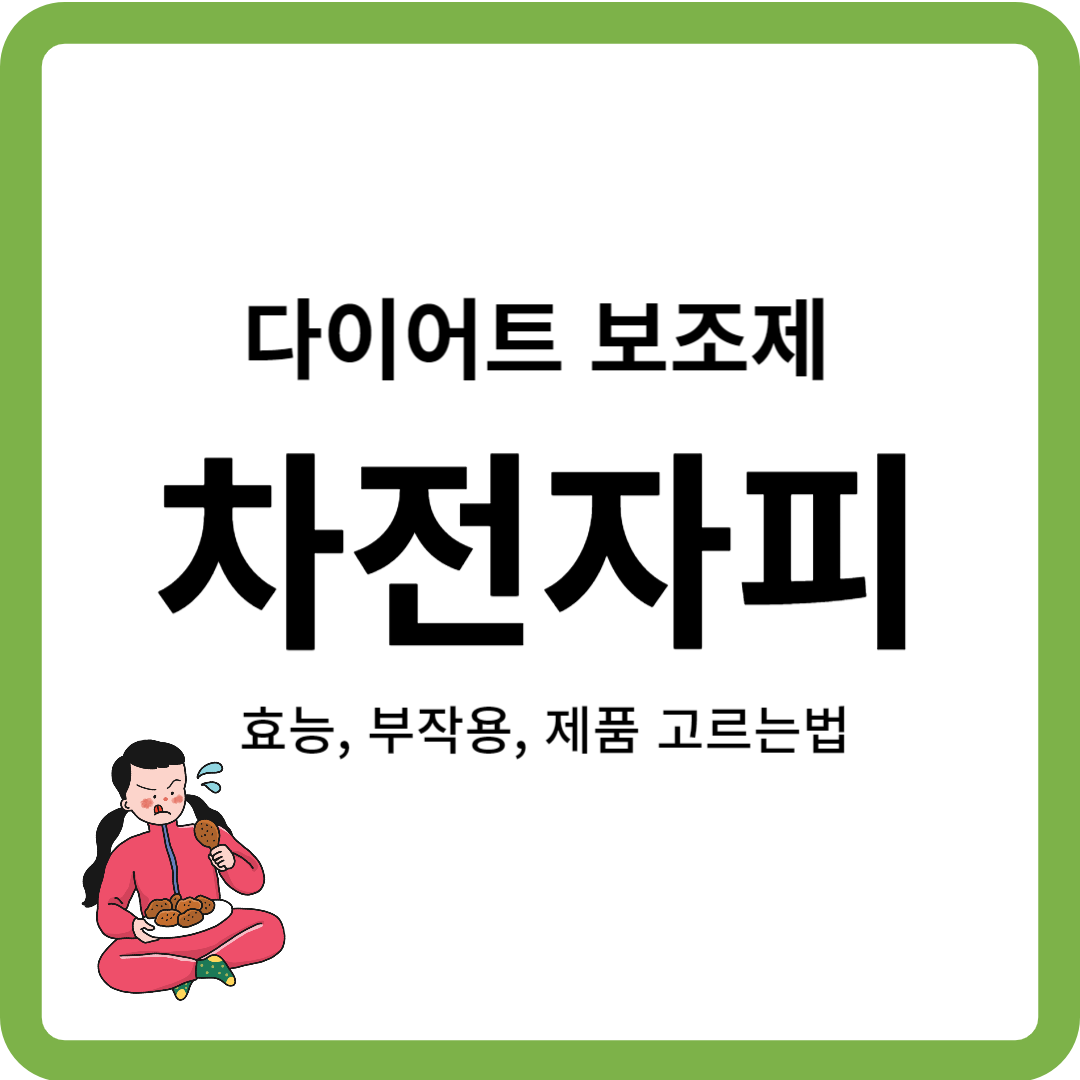 다이어트 보조제 차전자피
