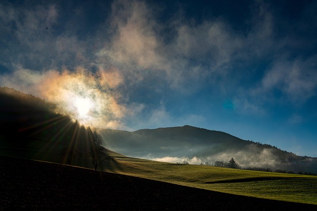 숲나들e 활용 꿀팁 가이드: 전국 자연휴양림 완전정복