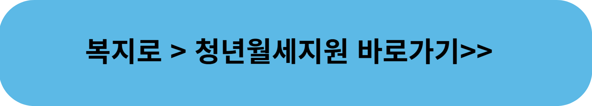 청년 월세 지원