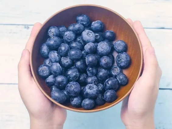 냉동 블루베리 꾸준히 섭취