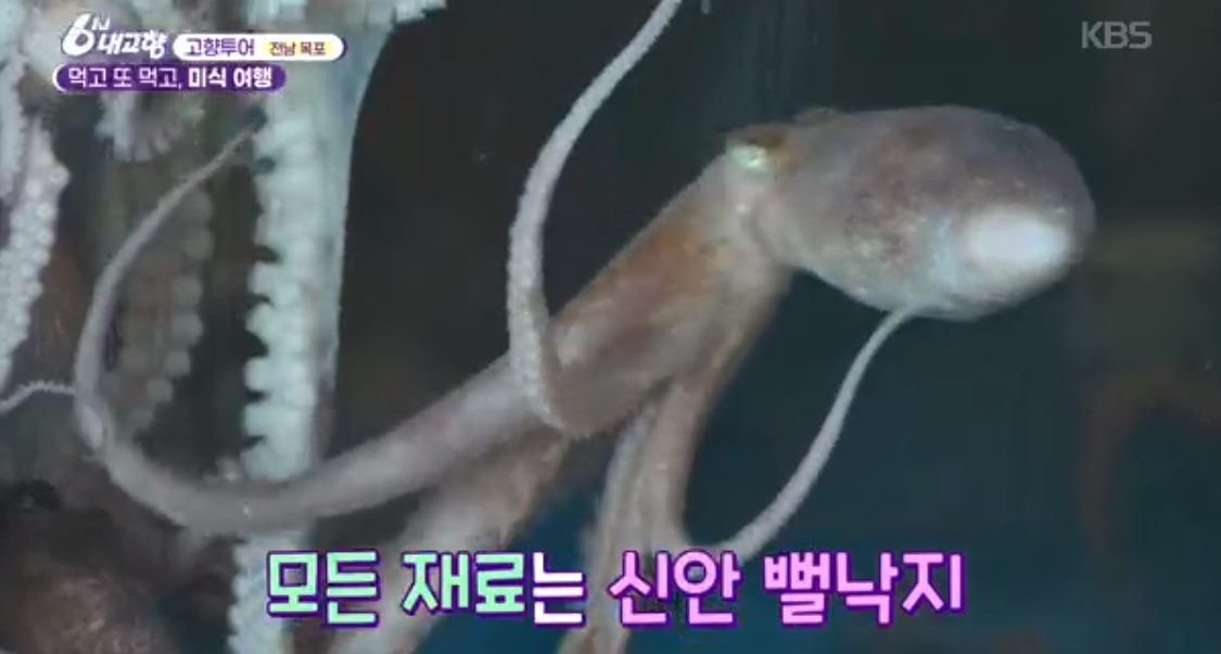 모든재료는 신안 뻘낙지