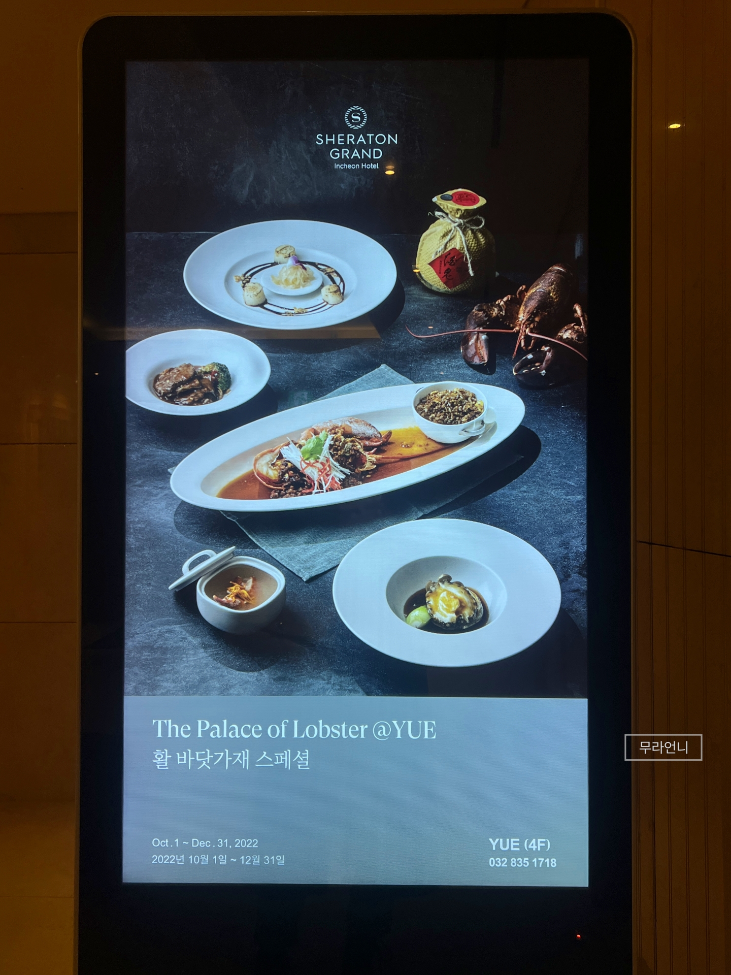 지금 랍스터 행사중