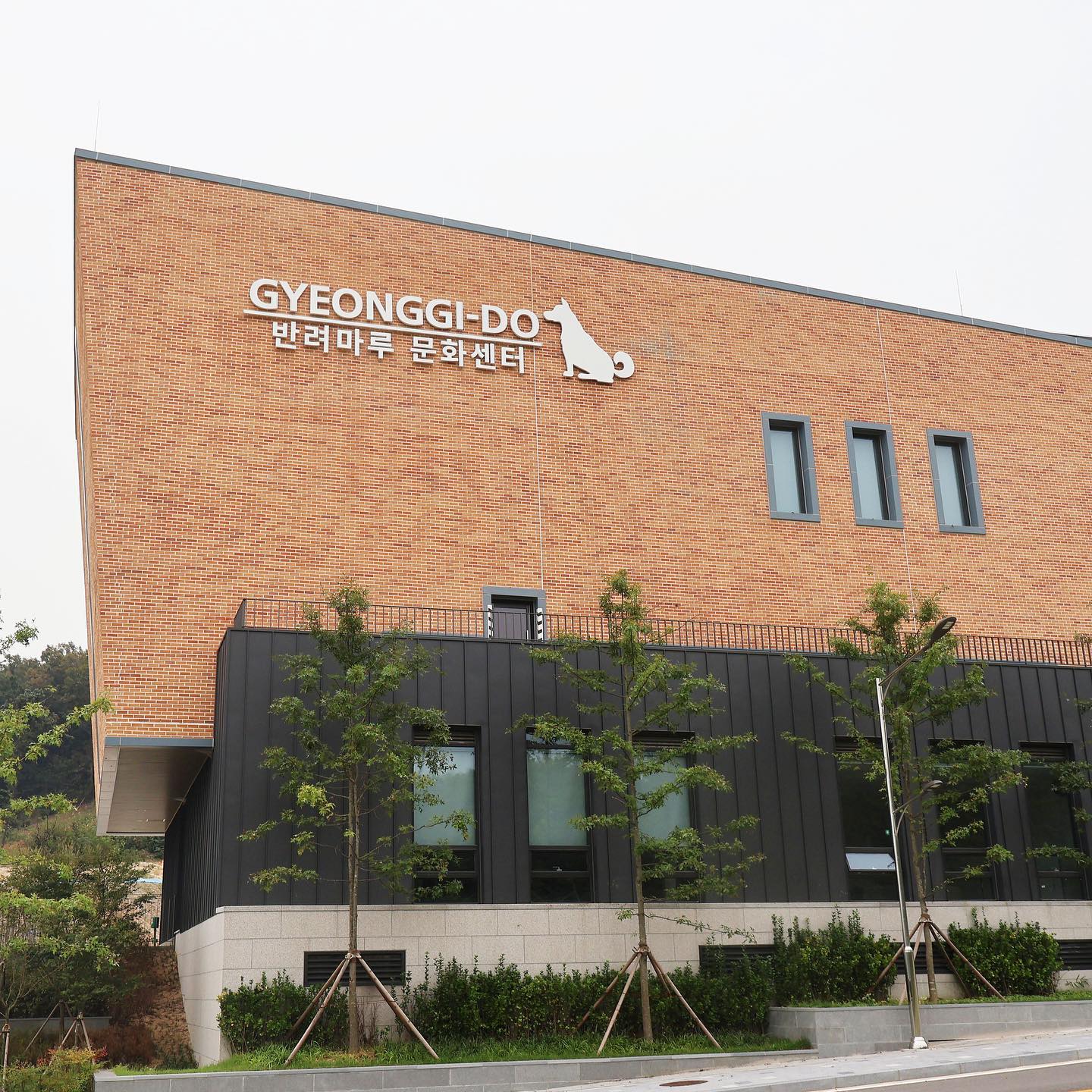 반려마루 시설 이미지